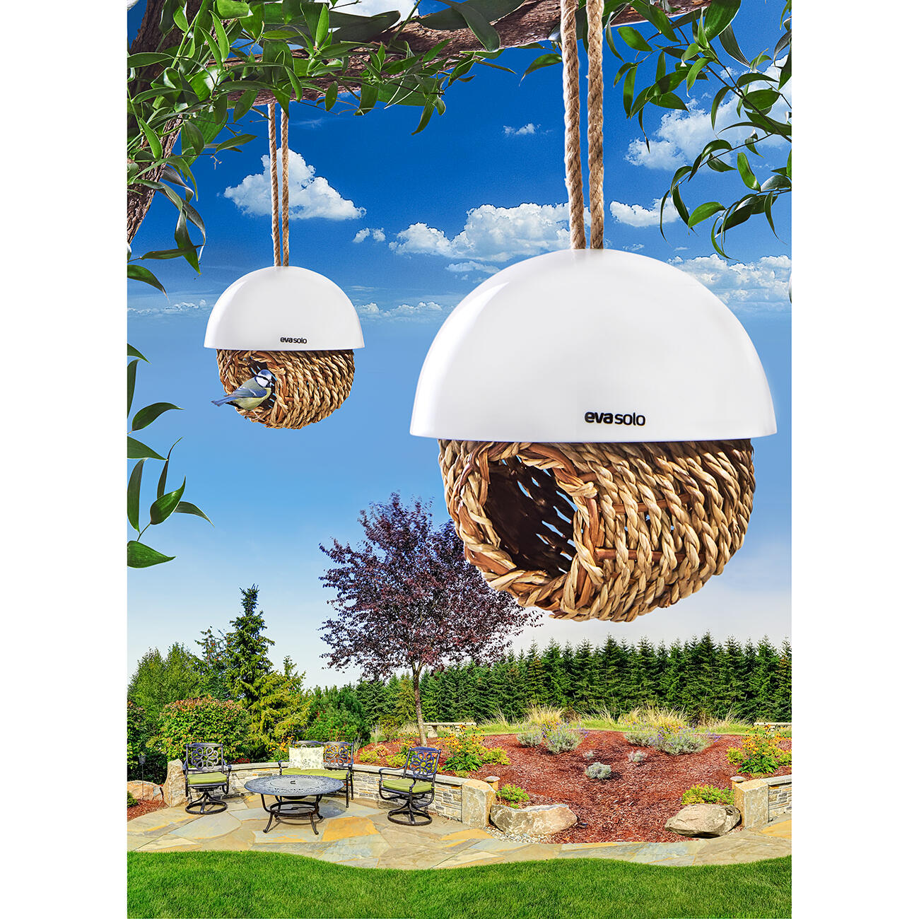 Bird's Nest