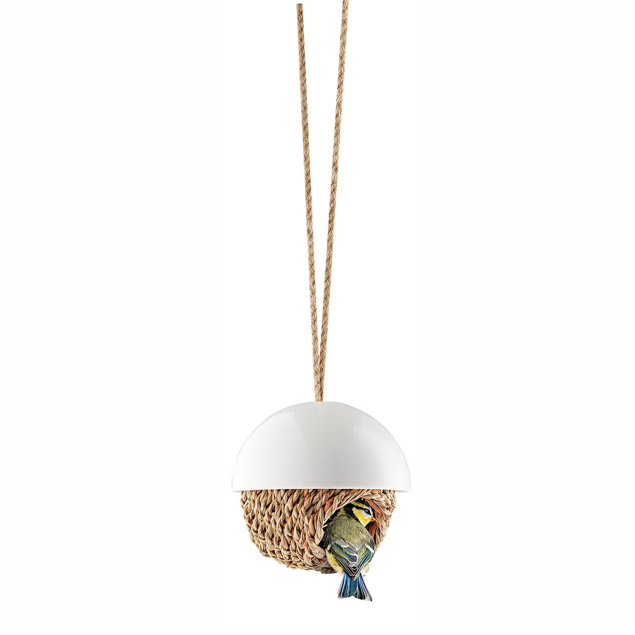 Bird's Nest
