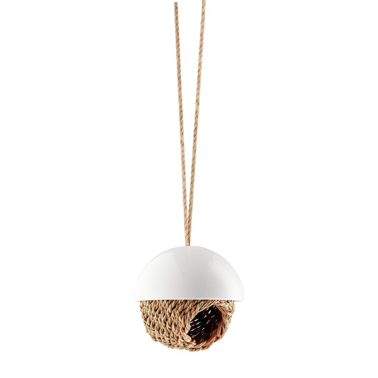 Bird's Nest