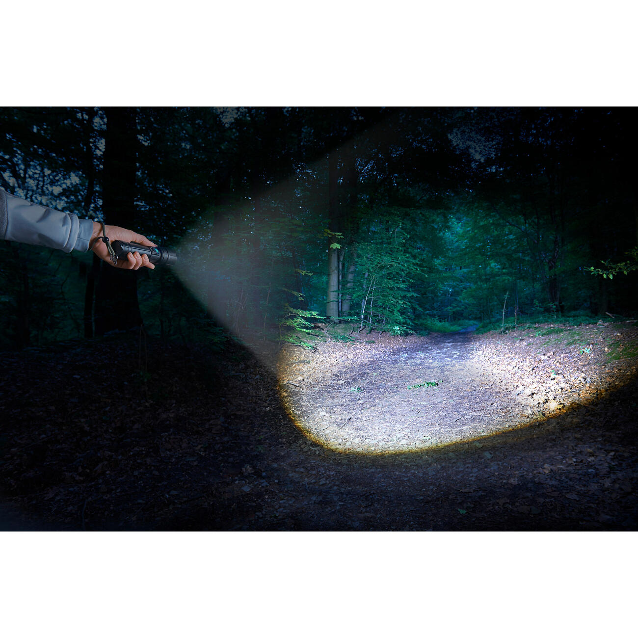 Survival flashlight