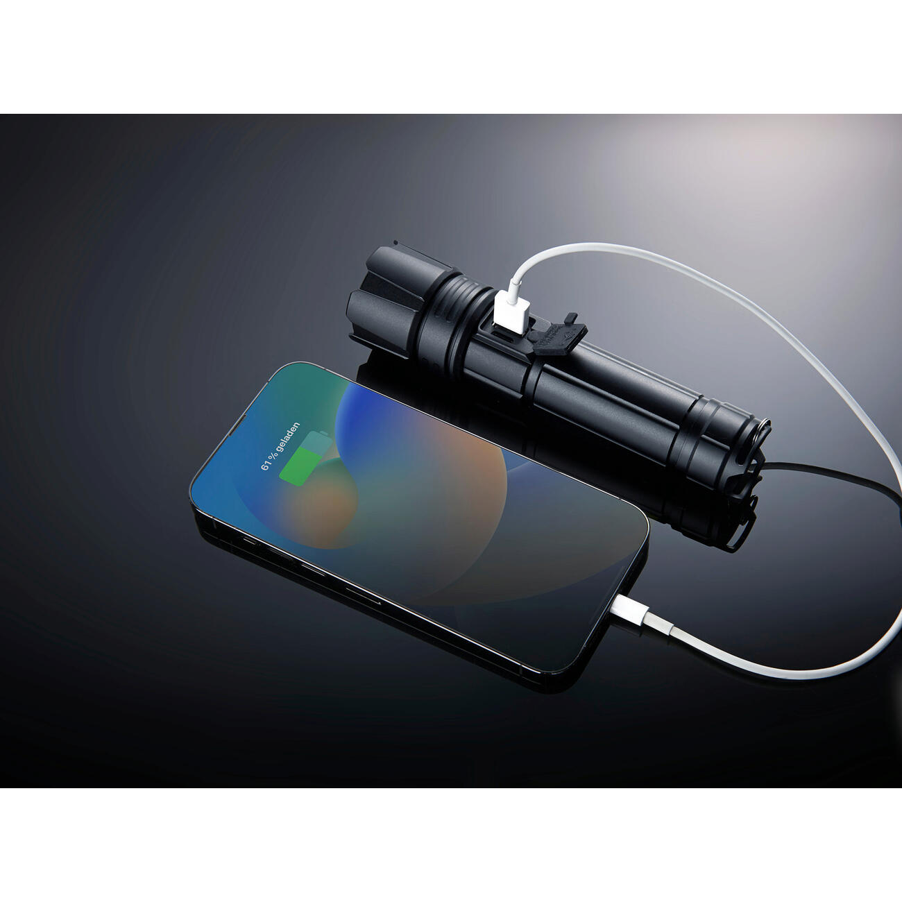 Survival flashlight
