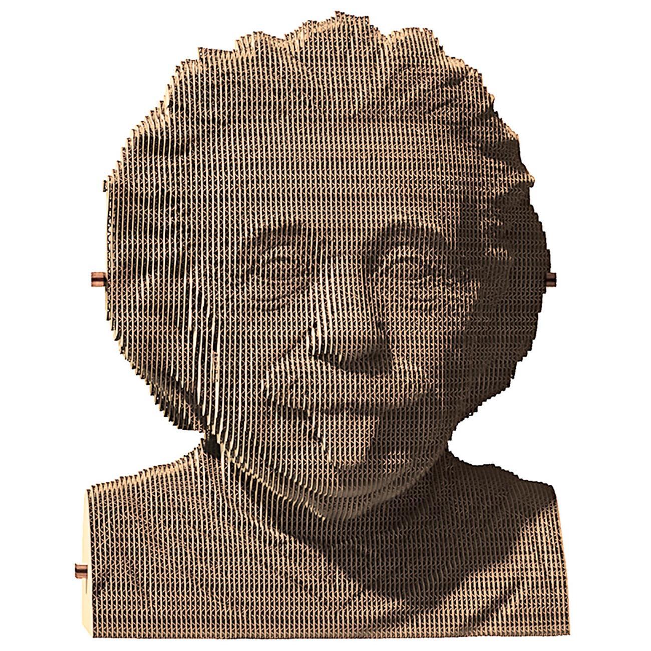 3D Puzzle Cardboard - Einstein