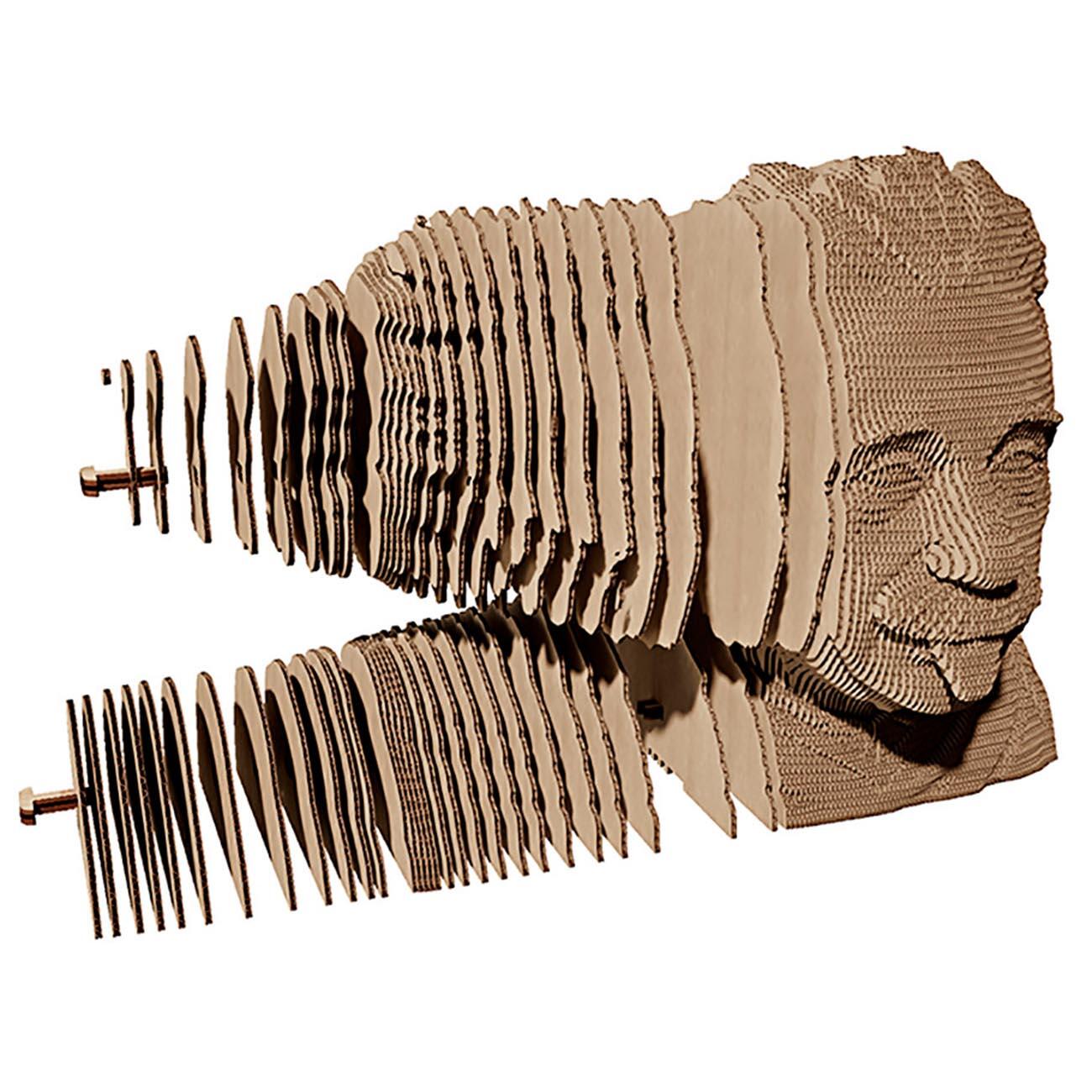 3D Puzzle Cardboard - Einstein