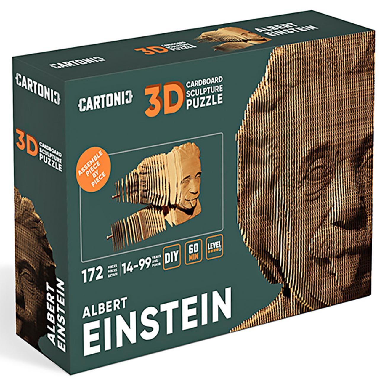 3D Puzzle Cardboard - Einstein