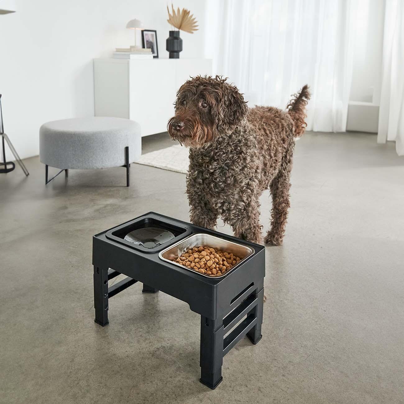 Vario dog bowl